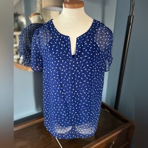 Daniel Rainn Women’s Sheer Blouse